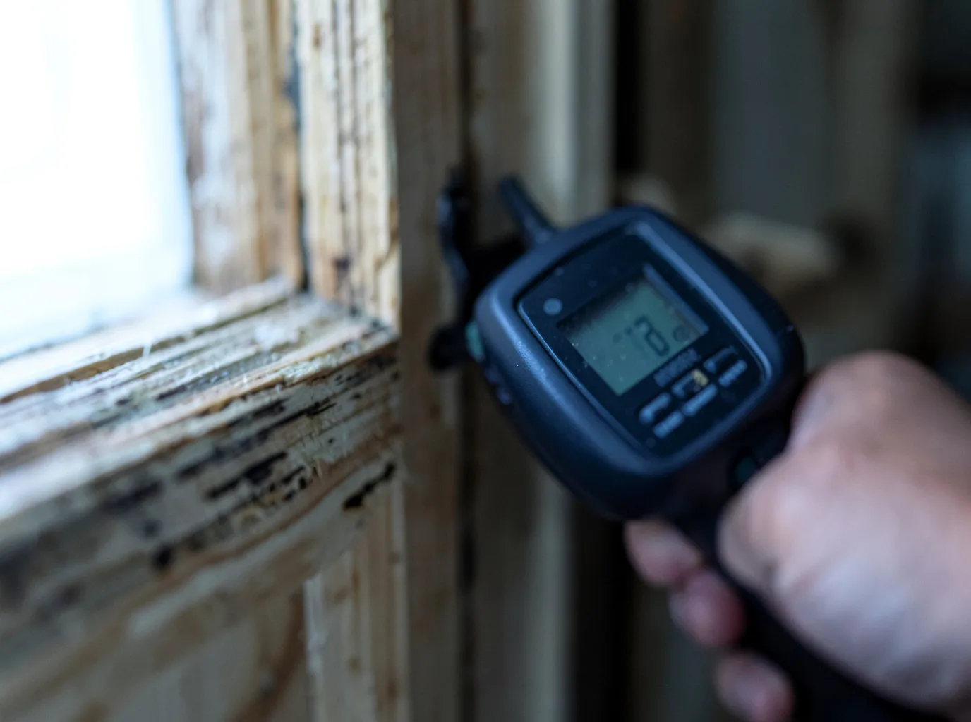 Commercial Water Damage Restoration in Auburndale, FL